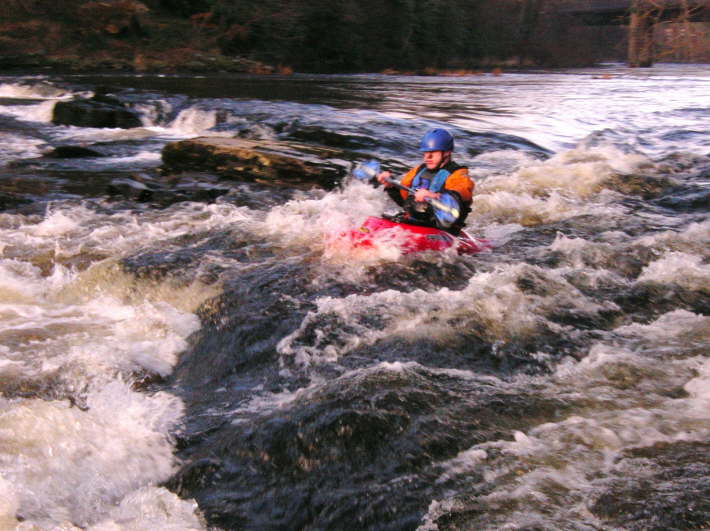 Ant on the Dee